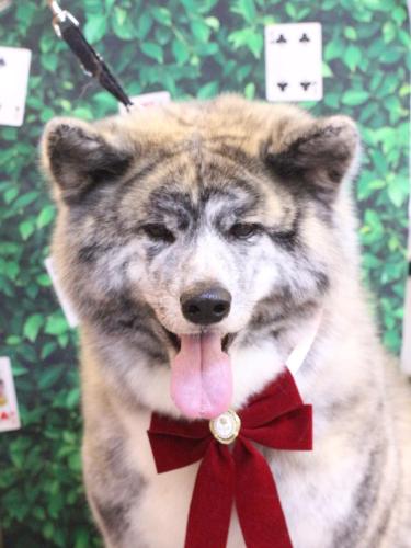 20250401むぎくん